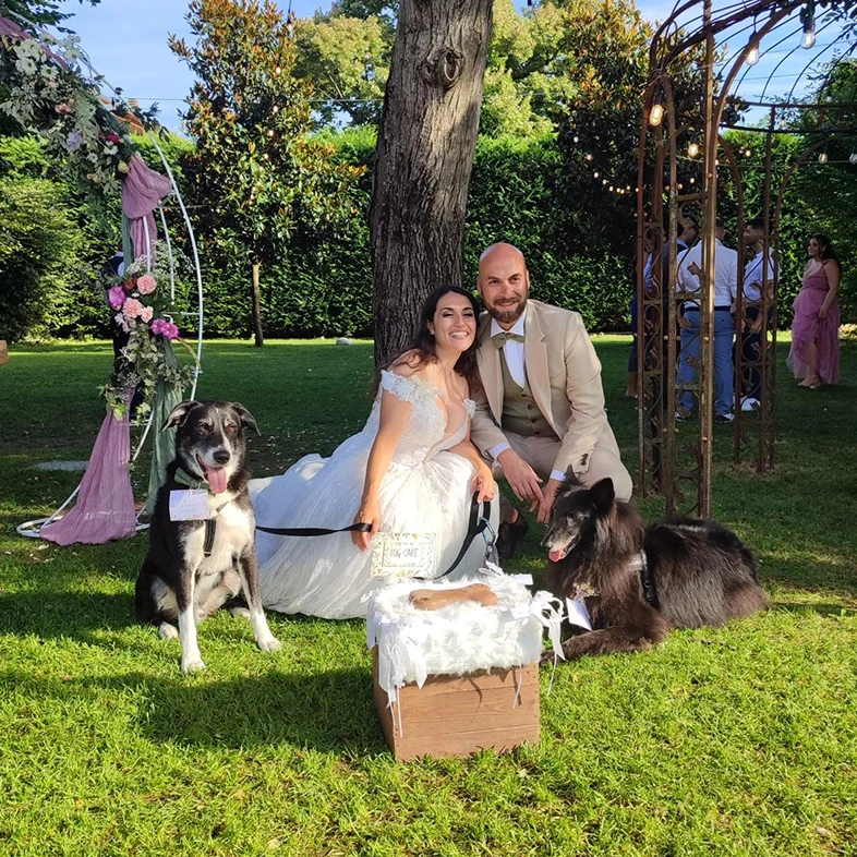 Wedding dog sitter